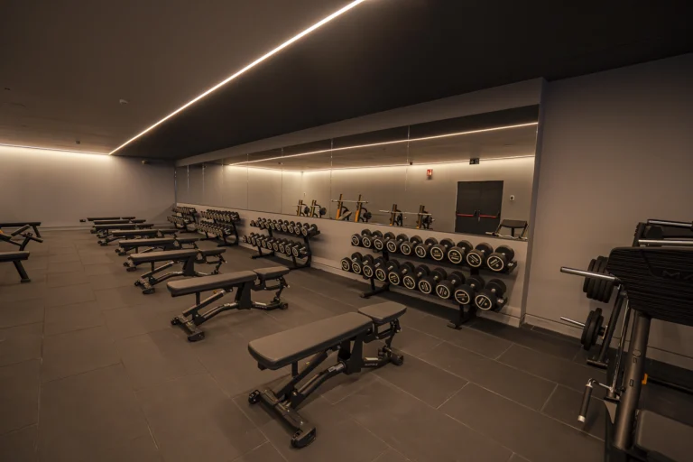 matrix abada baja cesarlloreda 123